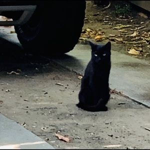 Meet your Top Seller, Sue Frida Ruby. ❤️